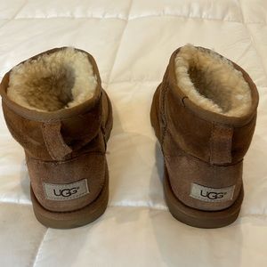 Chestnut size 6, mini UGGs